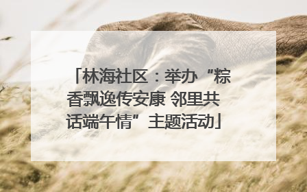 林海社区：举办“粽香飘逸传安康 邻里共话端午情”主题活动