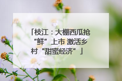枝江：大棚西瓜抢“鲜”上市 激活乡村“甜蜜经济”