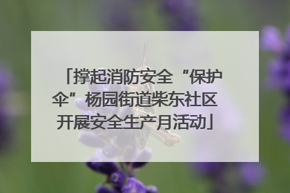 撑起消防安全“保护伞”杨园街道柴东社区开展安全生产月活动
