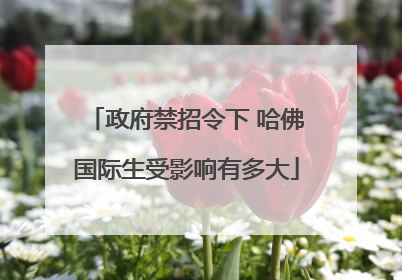 政府禁招令下 哈佛国际生受影响有多大
