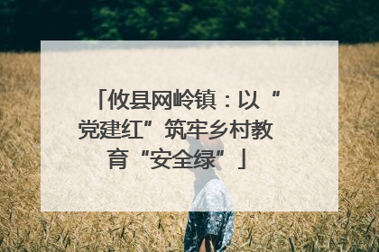攸县网岭镇：以“党建红”筑牢乡村教育“安全绿”