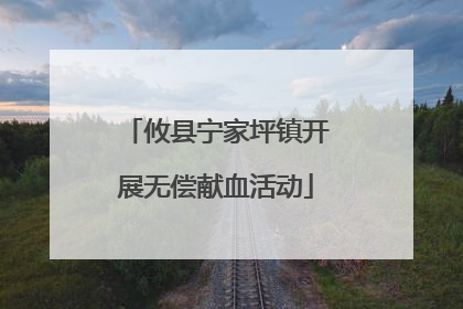 攸县宁家坪镇开展无偿献血活动