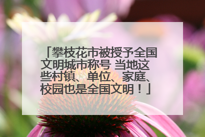 攀枝花市被授予全国文明城市称号 当地这些村镇、单位、家庭、校园也是全国文明！