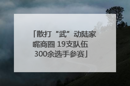 散打“武”动陆家嘴商圈 19支队伍300余选手参赛