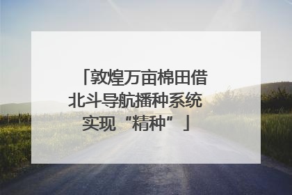 敦煌万亩棉田借北斗导航播种系统实现“精种”