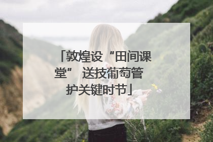 敦煌设“田间课堂” 送技葡萄管护关键时节