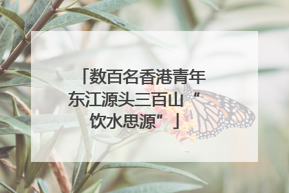 数百名香港青年东江源头三百山“饮水思源”