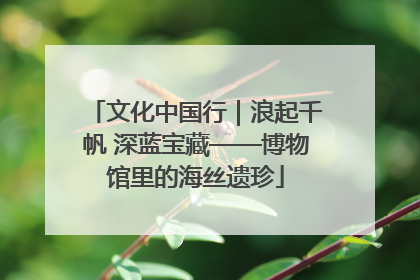 文化中国行｜浪起千帆 深蓝宝藏——博物馆里的海丝遗珍