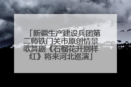 新疆生产建设兵团第二师铁门关市原创情景歌舞剧《石榴花开别样红》将来河北巡演