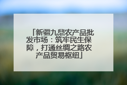新疆九鼎农产品批发市场：筑牢民生保障，打通丝绸之路农产品贸易枢纽