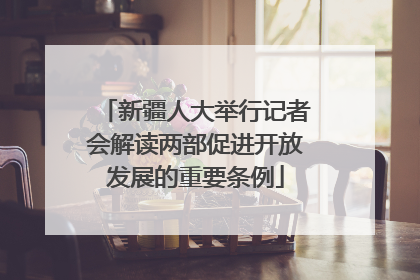 新疆人大举行记者会解读两部促进开放发展的重要条例