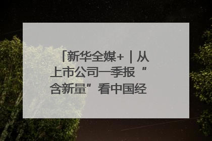 新华全媒+｜从上市公司一季报“含新量”看中国经济发展向“新”