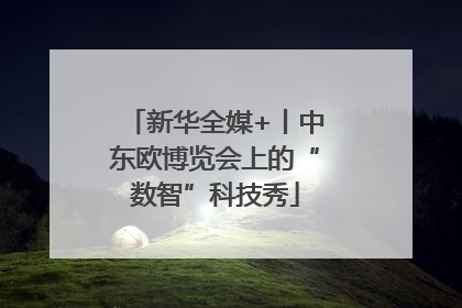 新华全媒+丨中东欧博览会上的“数智”科技秀