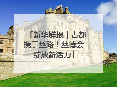 新华鲜报｜古都携手丝路！丝博会绽放新活力