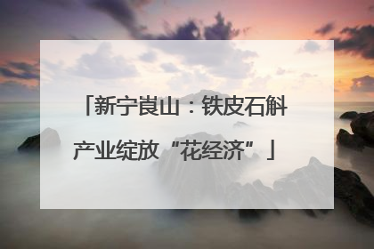 新宁崀山：铁皮石斛产业绽放“花经济”