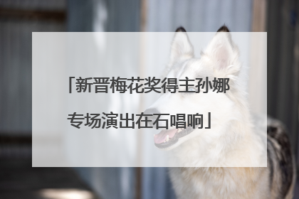 新晋梅花奖得主孙娜专场演出在石唱响