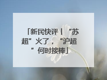 新民快评丨“苏超”火了，“沪超”何时接棒
