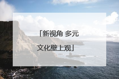 新视角 多元文化壁上观