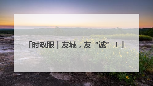 时政眼｜友城，友“诚”！