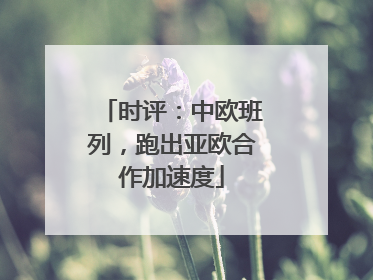 时评：中欧班列，跑出亚欧合作加速度