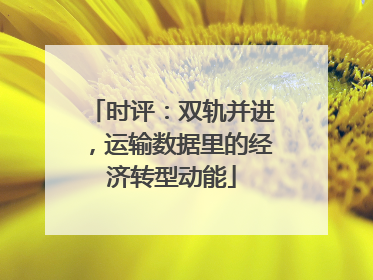 时评：双轨并进，运输数据里的经济转型动能