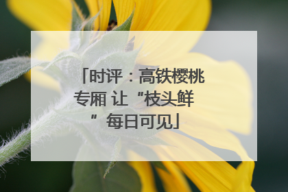 时评：高铁樱桃专厢 让“枝头鲜”每日可见