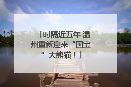 时隔近五年 温州重新迎来“国宝”大熊猫！