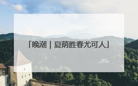 晚潮｜夏荫胜春尤可人