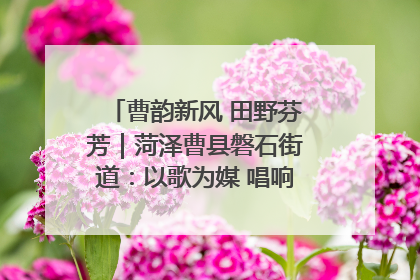 曹韵新风 田野芬芳｜菏泽曹县磐石街道：以歌为媒 唱响乡土“新歌声”