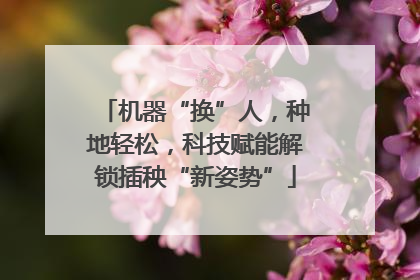 机器“换”人，种地轻松，科技赋能解锁插秧“新姿势”