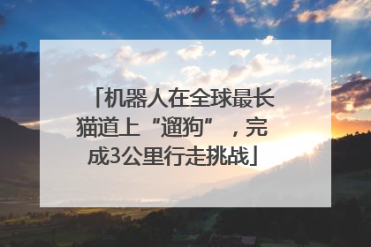 机器人在全球最长猫道上“遛狗”，完成3公里行走挑战