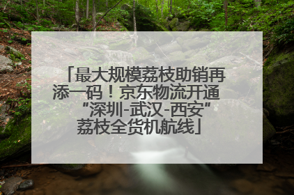 最大规模荔枝助销再添一码！京东物流开通“深圳-武汉-西安” 荔枝全货机航线
