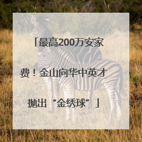 最高200万安家费！金山向华中英才抛出“金绣球”