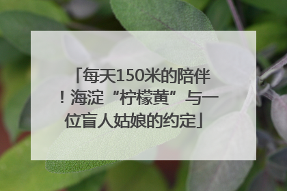 每天150米的陪伴！海淀“柠檬黄”与一位盲人姑娘的约定