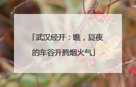 武汉经开：瞧，夏夜的车谷升腾烟火气
