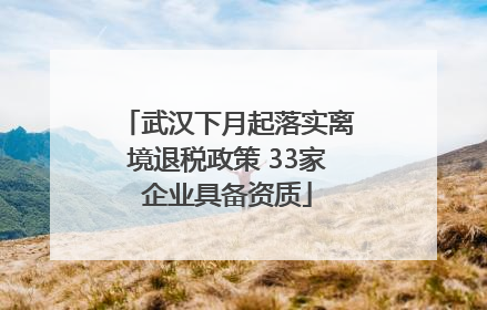 武汉下月起落实离境退税政策 33家企业具备资质