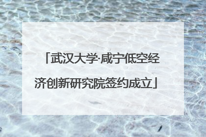 武汉大学·咸宁低空经济创新研究院签约成立