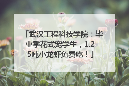 武汉工程科技学院：毕业季花式宠学生，1.25吨小龙虾免费吃！