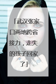 武汉张家口两地跨省接力，走失的孩子回家了
