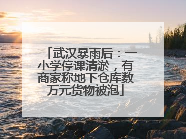 武汉暴雨后：一小学停课清淤，有商家称地下仓库数万元货物被泡
