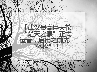 武汉最高摩天轮“楚天之眼”正式运营，启用之前先“体检”！