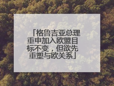 格鲁吉亚总理重申加入欧盟目标不变，但欲先重塑与欧关系