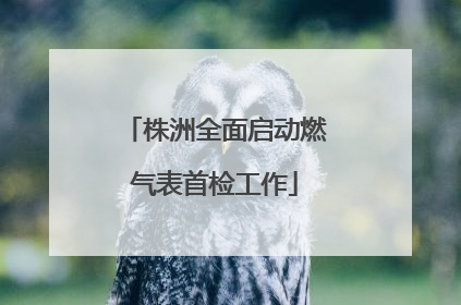 株洲全面启动燃气表首检工作
