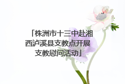 株洲市十三中赴湘西泸溪县支教点开展支教慰问活动