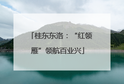 桂东东洛：“红领雁”领航百业兴