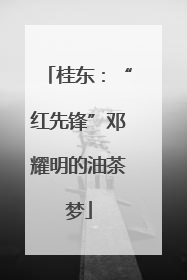 桂东：“红先锋”邓耀明的油茶梦