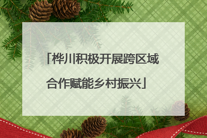 桦川积极开展跨区域合作赋能乡村振兴
