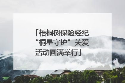 梧桐树保险经纪“桐星守护”关爱活动圆满举行