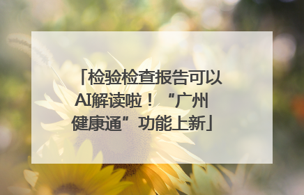 检验检查报告可以AI解读啦！“广州健康通”功能上新