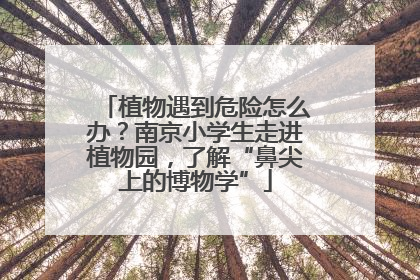 植物遇到危险怎么办？南京小学生走进植物园，了解“鼻尖上的博物学”